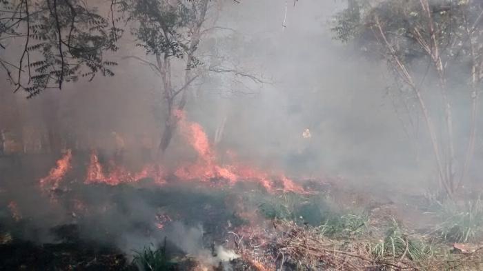 Brigada de Gobierno del Estado de Colima está lista para combatir incendios forestales