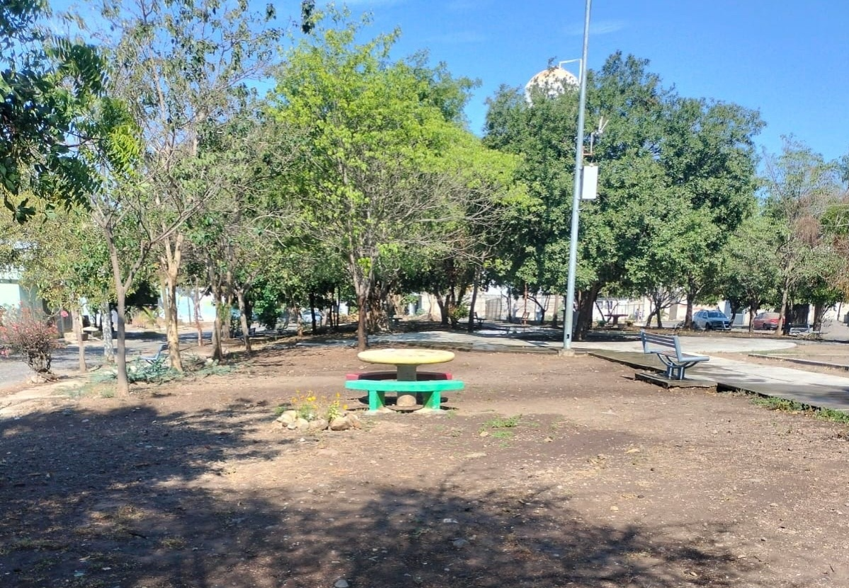 Ante la falta de apoyo, trabajadores del Ayuntamiento de Colima demuestran que sí están haciendo su trabajo 