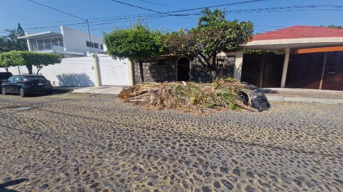 Incapacidad del gobierno de Riult para recoger las ramas en calles de Colima podría generar inundaciones