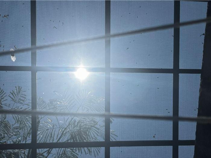 Se esperan temperaturas de hasta 40 grados en Colima esta semana