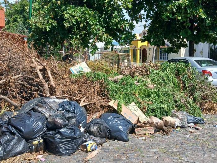 Gobierno de Riult cumple un mes con montones de ramas en la colonia San Sebastián